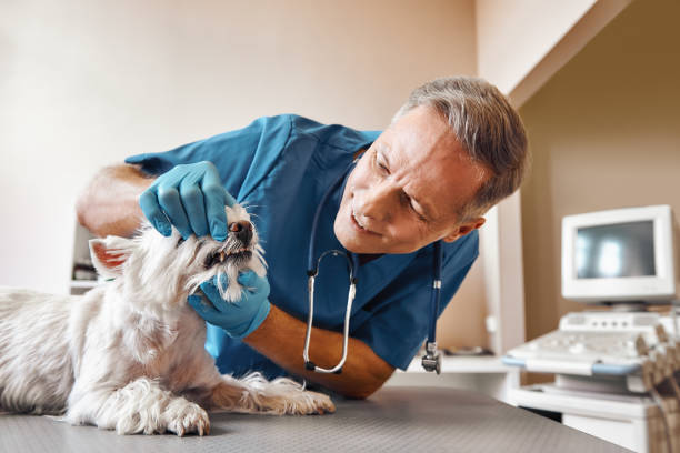 Best After-Hours Emergency Dentist in Jacksonville, AL